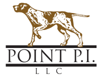 Point PI Logo